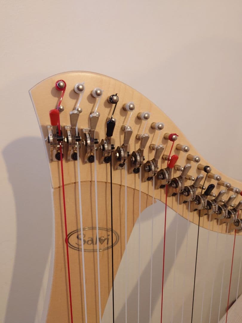 ハープ　サルヴィ　JUNO 27