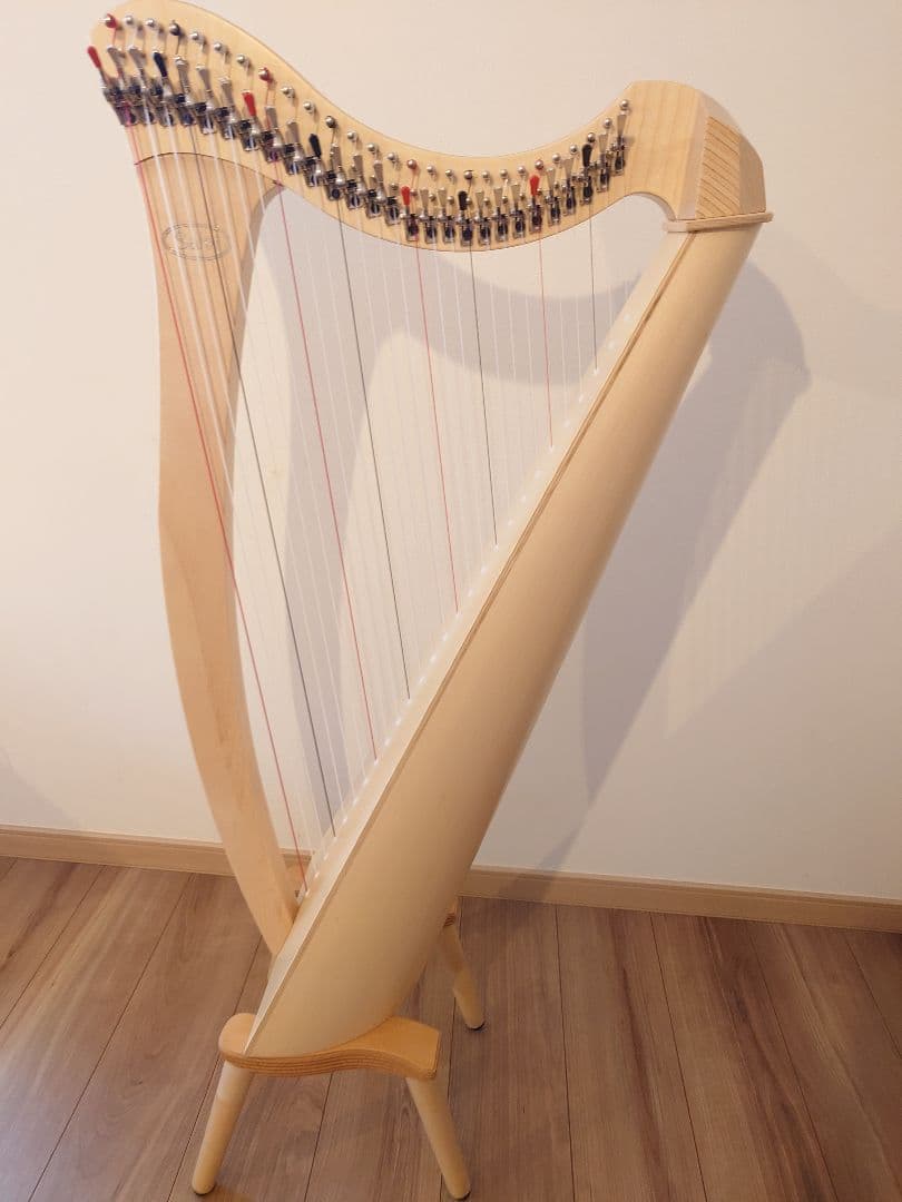 ハープ　サルヴィ　JUNO 27