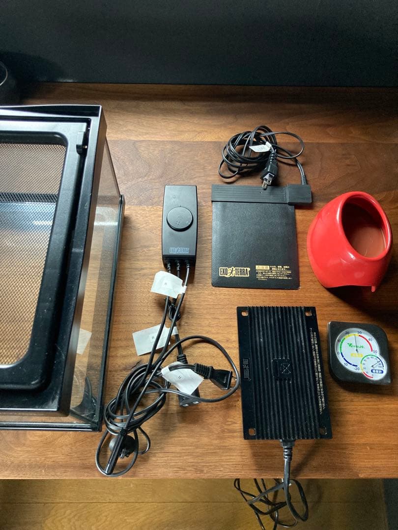 爬虫類シェルター 345 白マット×黒、ブルーとピンク、赤いヒトデ