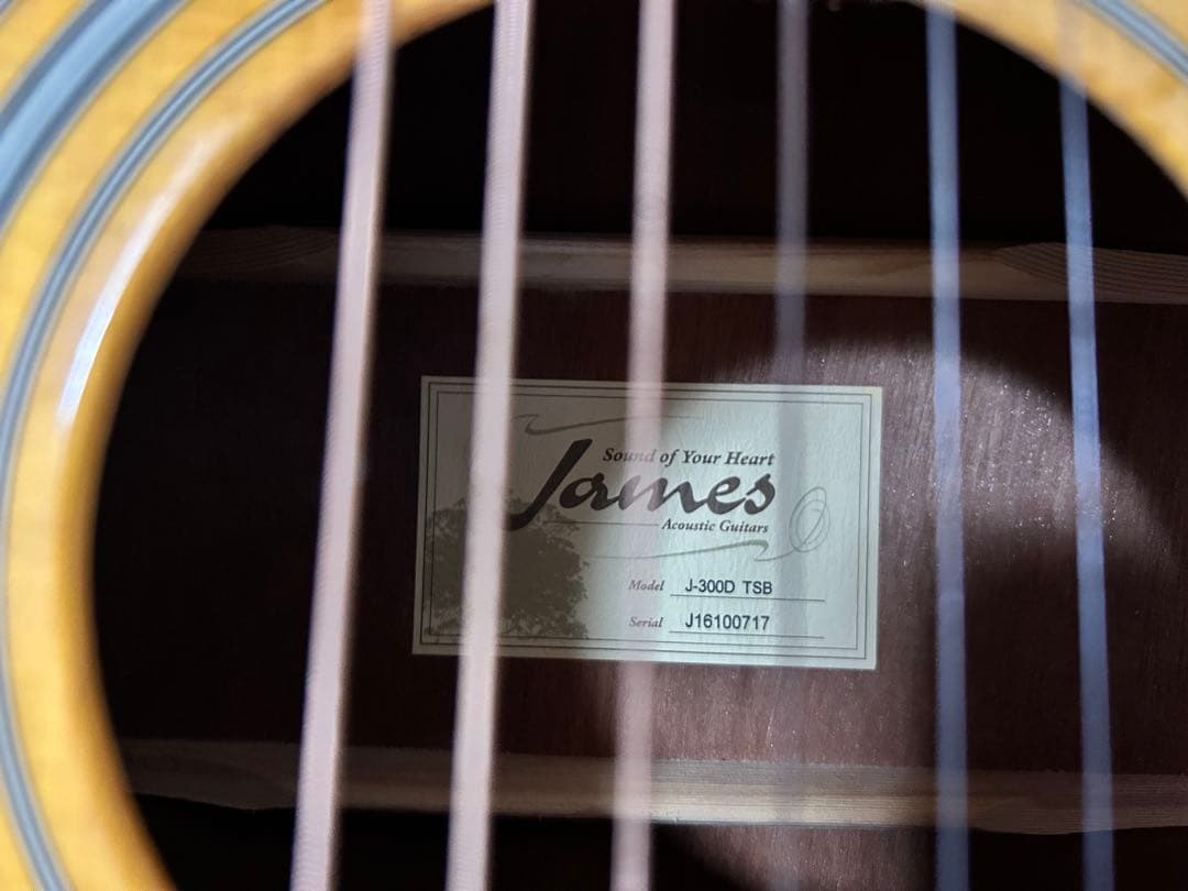 James J300D TSB アコースティックギター