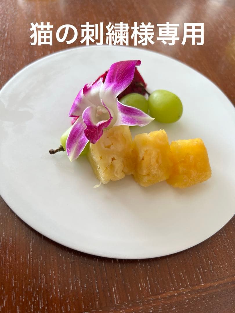 水族館4☆和歌山☆アドベンチャーワールド9☆ペンギン☆記念メダル☆茶