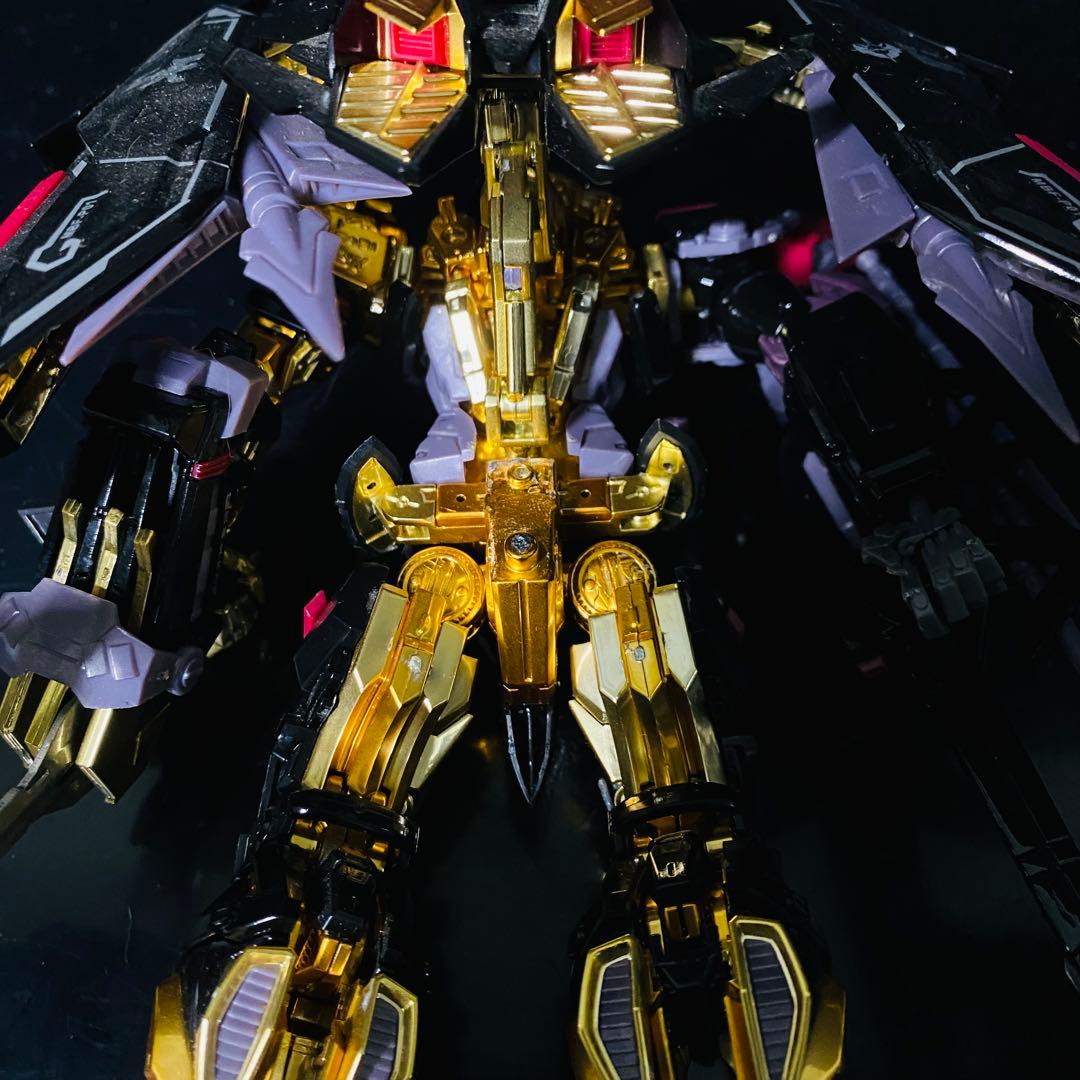 ガンダムアストレイゴールドフレーム天ミナ -天空の宣言-