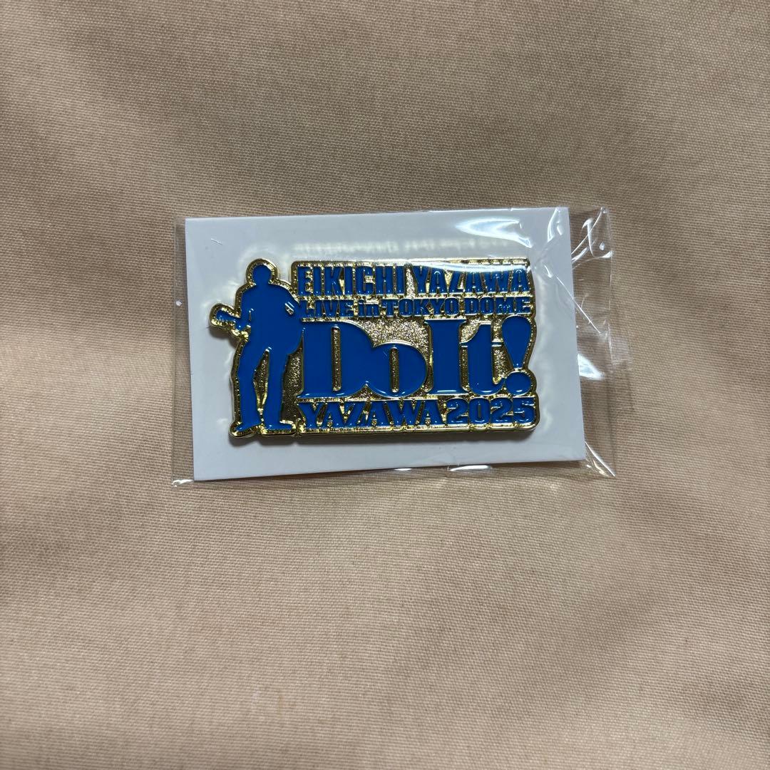 矢沢永吉 2025 東京ドーム PSS席 非売品 限定グッズ ビーチタオル