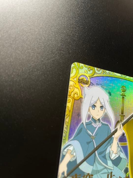 バディファイト ソフィアサハロフ シクフラッグ