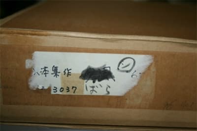 ☆山本あつむ作☆ばら☆圧書き貴重な作品☆F6号☆遺族の方からの出品