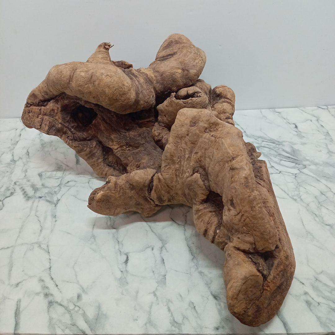 アク抜き済み流木【328】最終価格