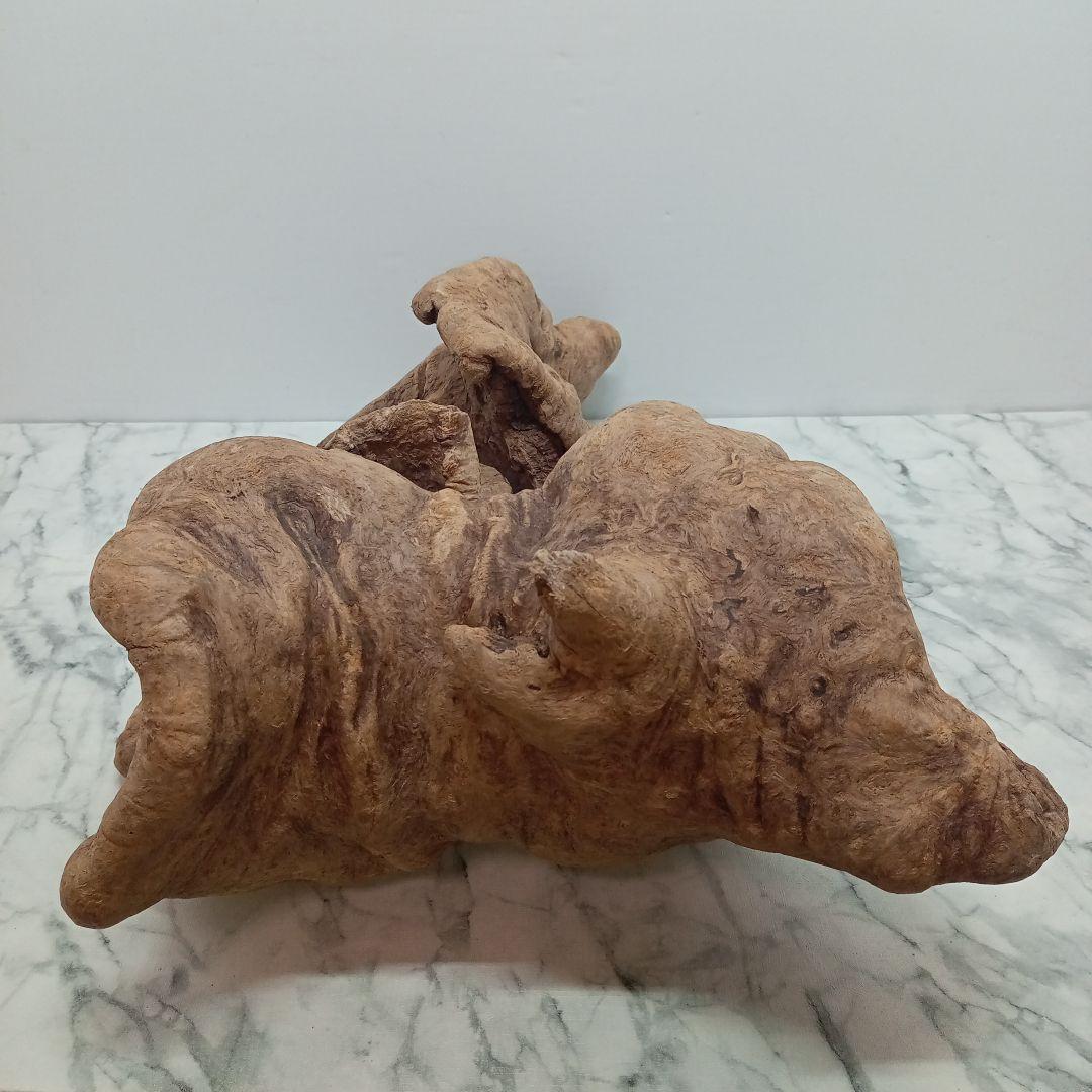 アク抜き済み流木【328】最終価格