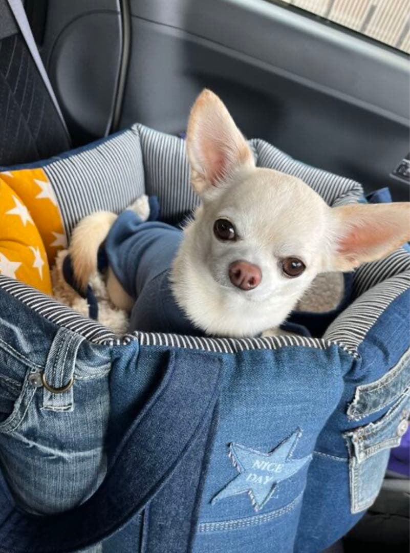 ドライブベッドデニムリメイク