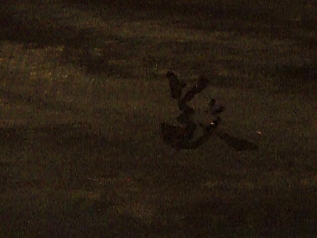 て*り様 大作／真作保証☆龍敬子作【悲母観音】衝立額／