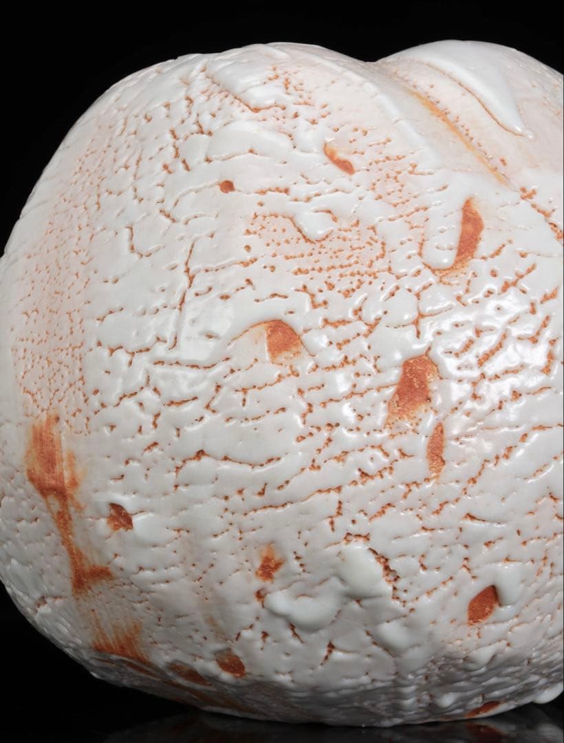 林正太郎 志野壺 共箱 栞付 高さ25㎝ 美濃焼 現代陶芸