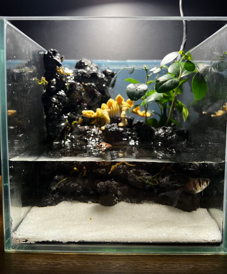 滝の流れるアクアテラリウムpart4 15cmキューブ水槽 - メルカリ