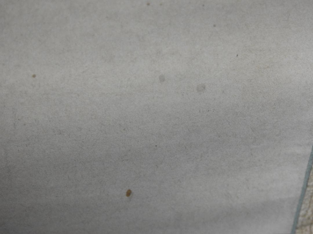 尾長鳥　作者不明　箱なし　MA907