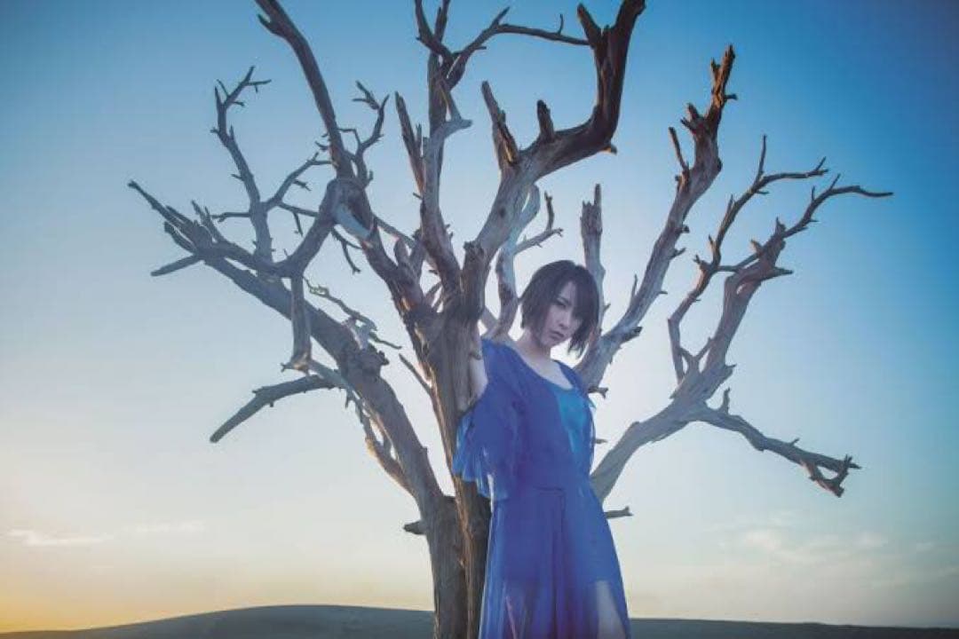 【希少】藍井エイルポスター8本セット