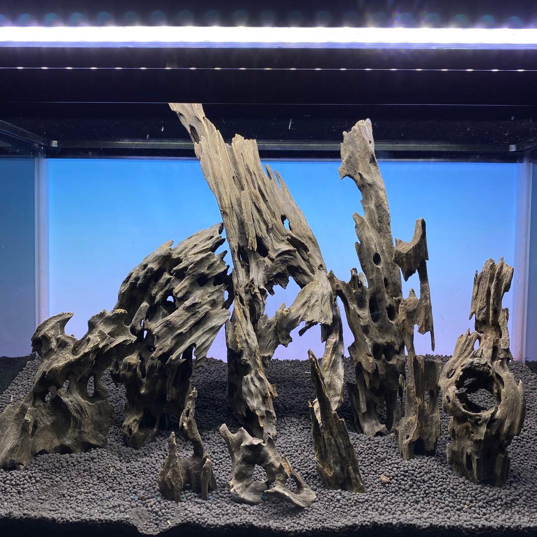 MMW-6315 マシンガンウッドレイアウトセット 60cm水槽用 流木 MMW-6315