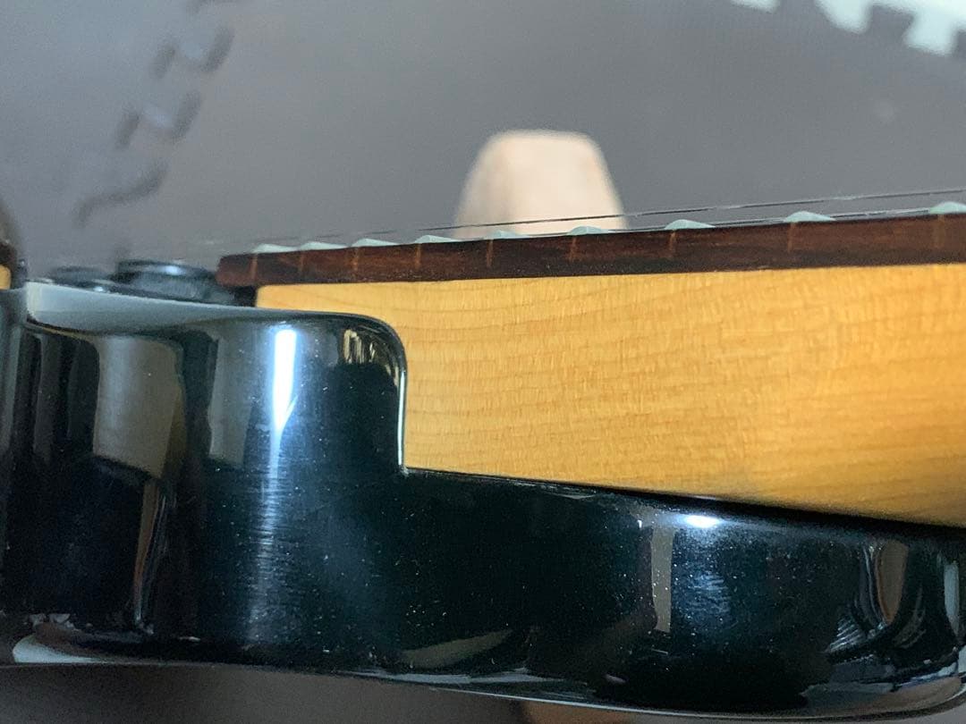 Chatting Bird Mockingbird モッキンバード hide