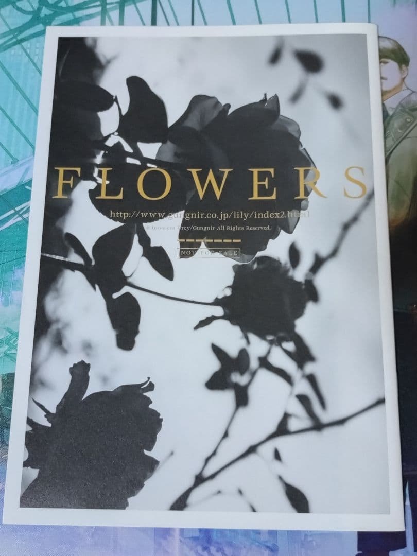 FLOWERS ジークレー Innocent Grey 購入特典 FLOWERS 20 Innocent Grey