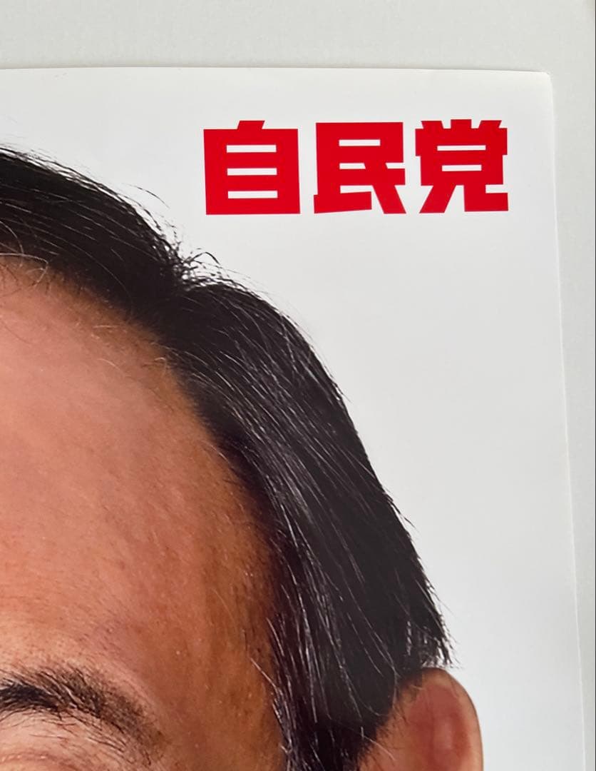 自由民主党 菅義偉元首相 ポスター A1
