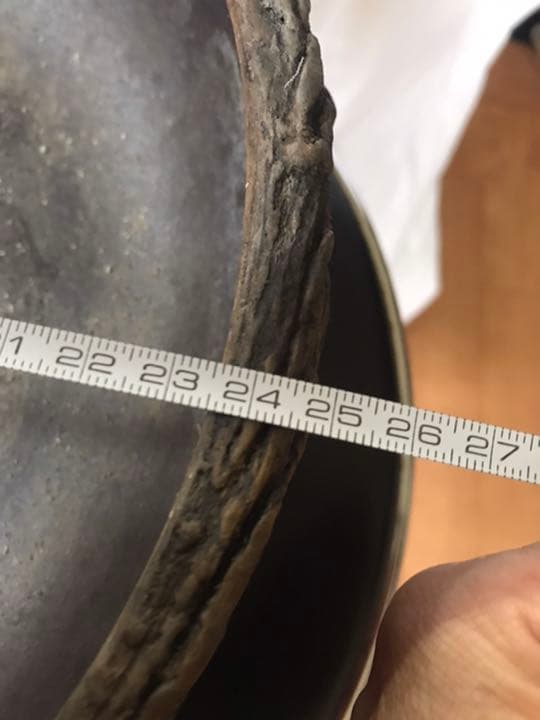 盆栽鉢 超希少時代松皮盆栽鉢手作りレア盆栽鉢植木鉢山野草