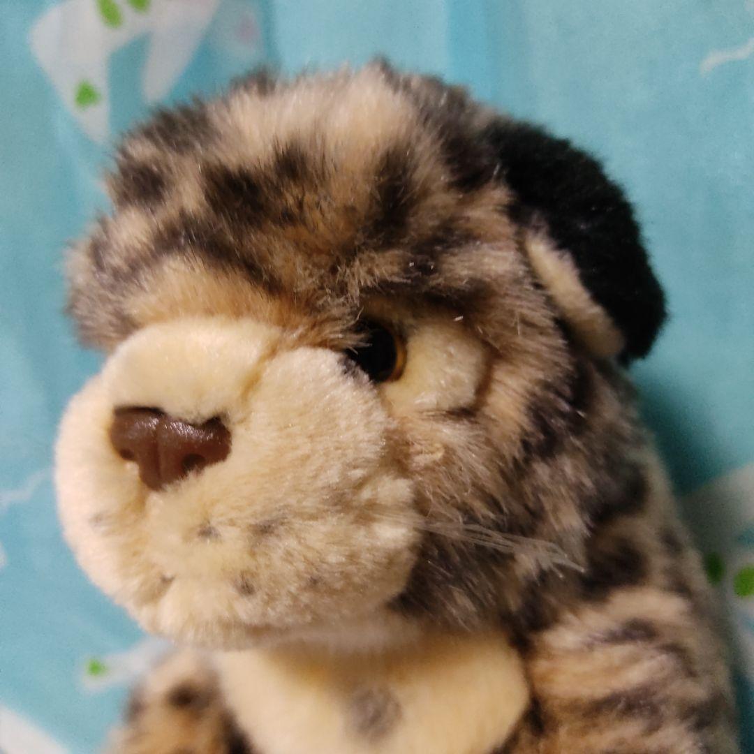 鳥羽水族館　ぬいぐるみ　スナドリネコ　ぬいぐるみ　漁り猫