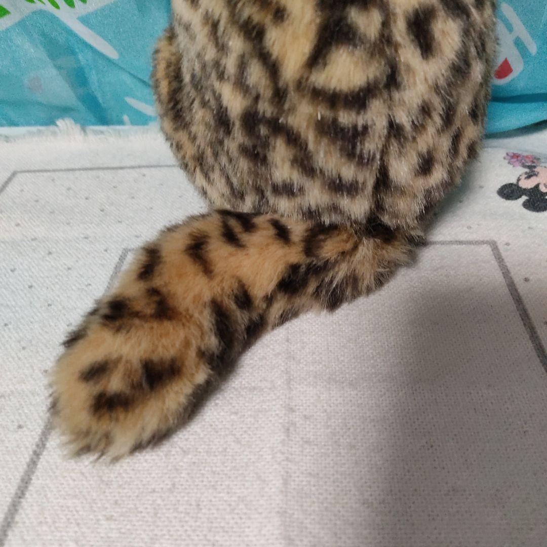 鳥羽水族館　ぬいぐるみ　スナドリネコ　ぬいぐるみ　漁り猫