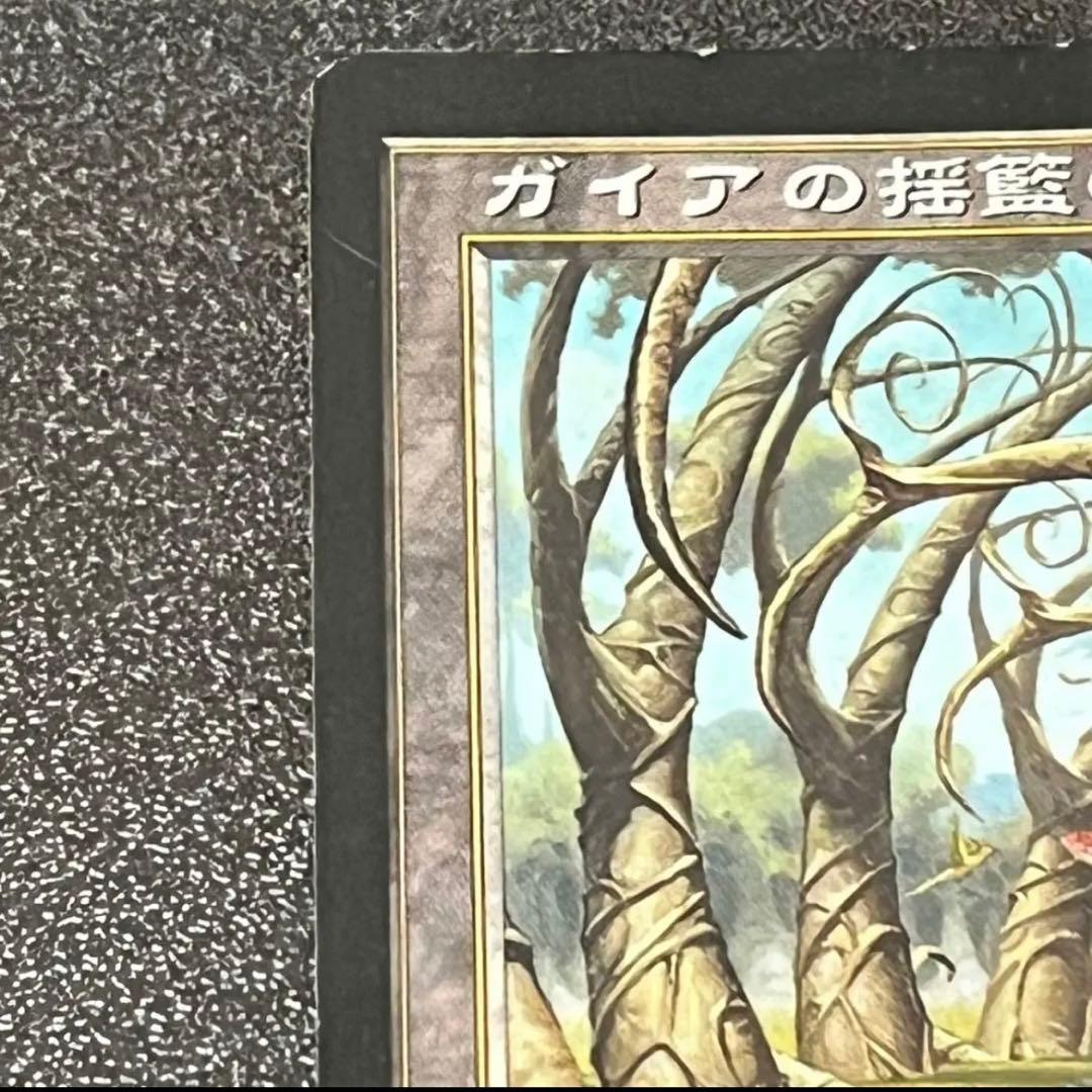 マジックザギャザリング ウルザズサーガ ガイアの揺籃の地 日本語版