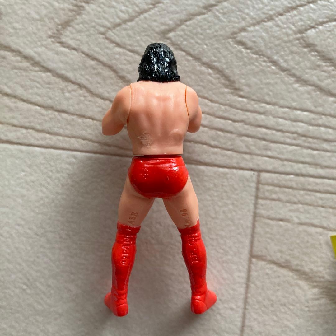 リアルファイターバトルドーム 船木誠勝選手