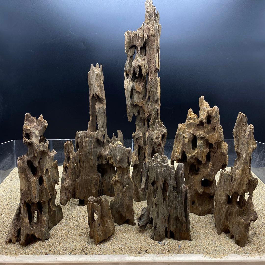 MSW-6326 天然流木 1点物 枝流木 アクアリウム 流木