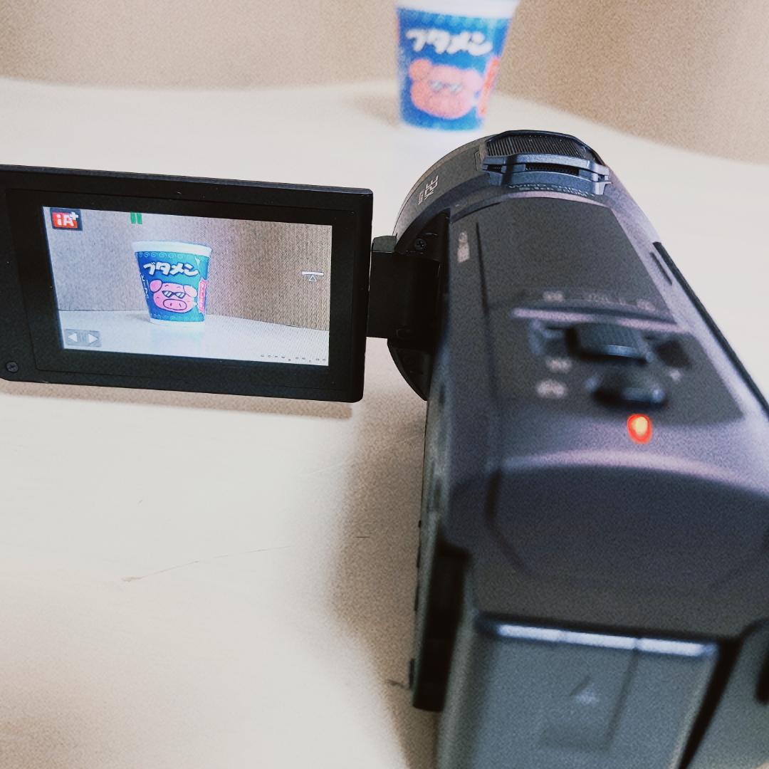 極美品！Panasonic デジタル4K ビデオカメラ HC-VX1M