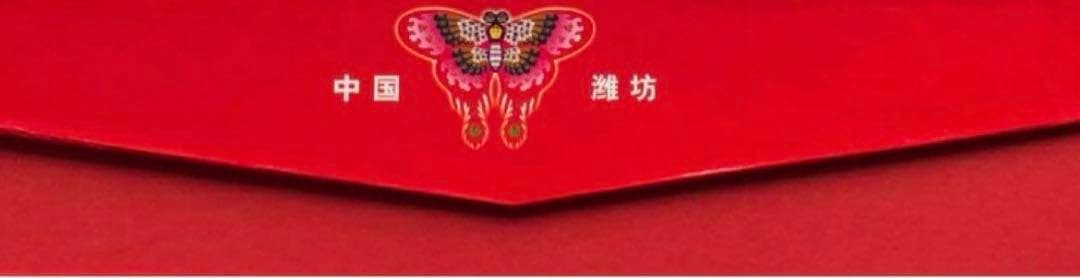 #スカイスポーツ カイト 中国　濰坊　風箏　魚凧　海外商品　风筝 kite 美品