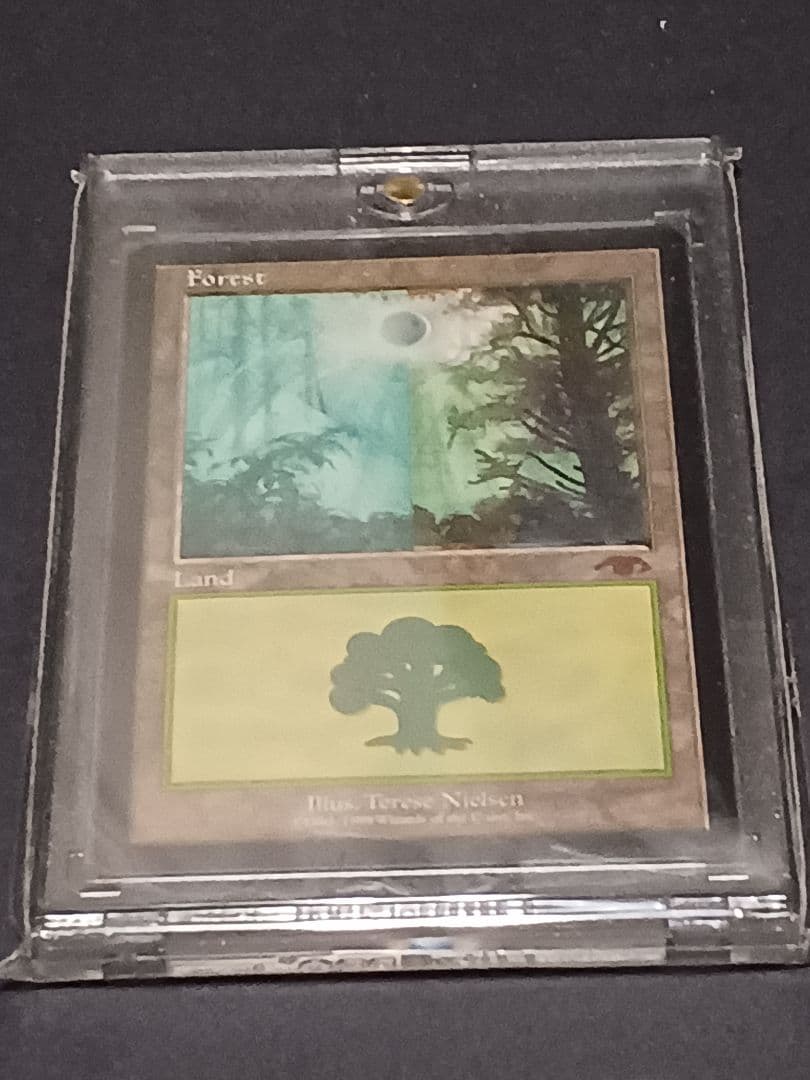 森/Forest Guruランド Guruランド グルランド 森 森⁄Forest》[Guru