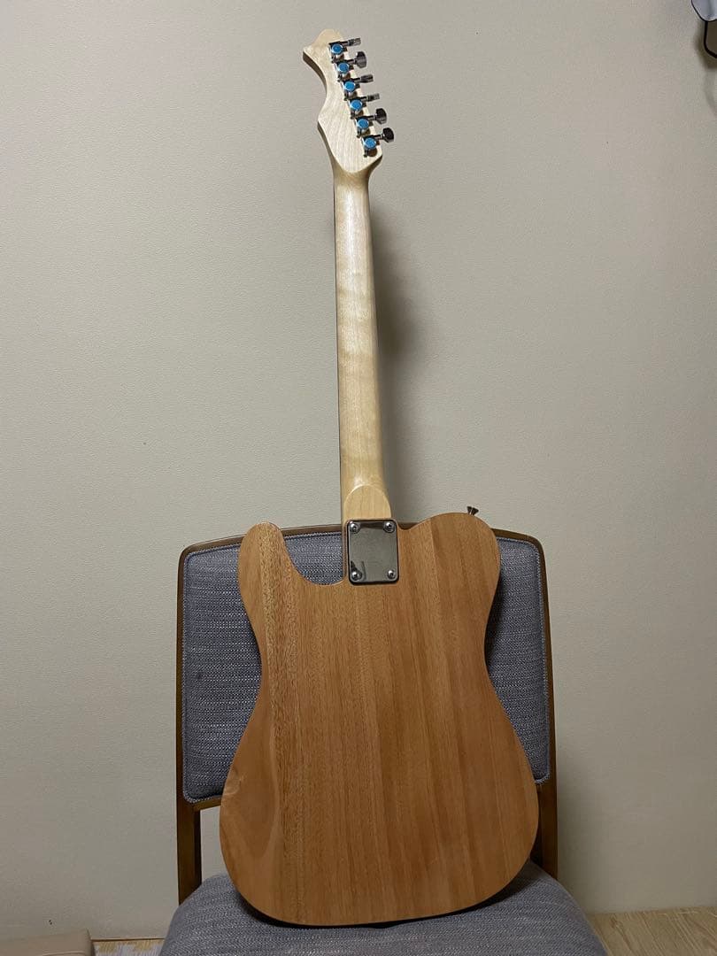 シンライン テレキャスター No01