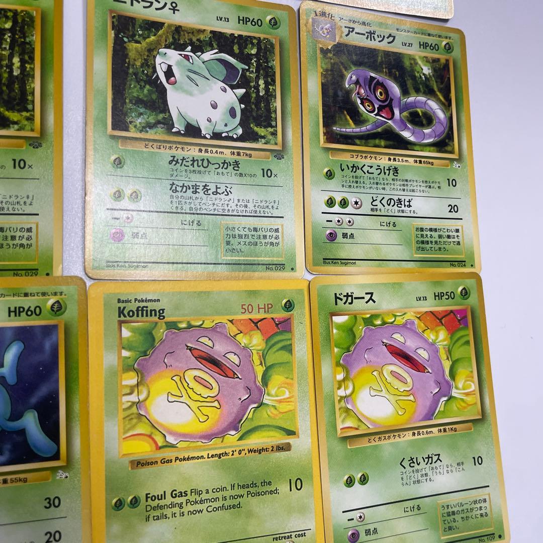 エリカのラフレシア フシギダネ ナゾノクサ コンパン クサイハナ