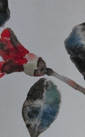 片岡鶴太郎、【椿】、希少な額装用画集より、美品、日本人画家