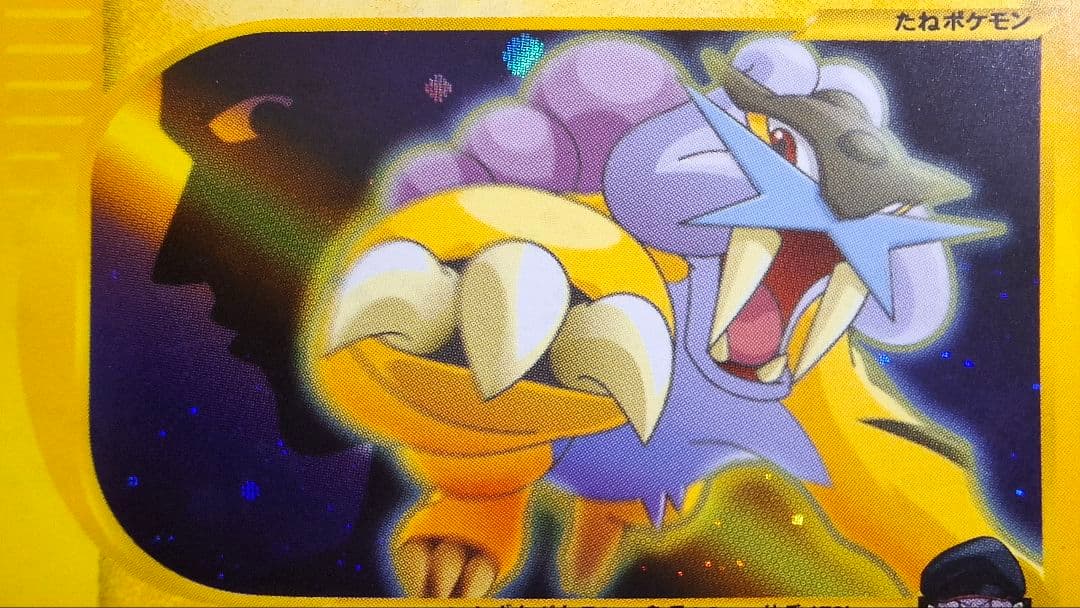 R団のライコウ ☆ ポケモンカード☆VS 094/141 1ED