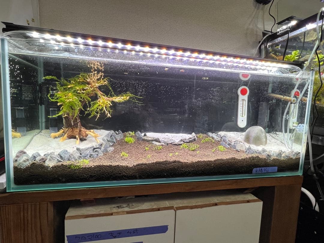 アクアシステム クリスティプレーン1520 ベタ飼育セット おまけ付き