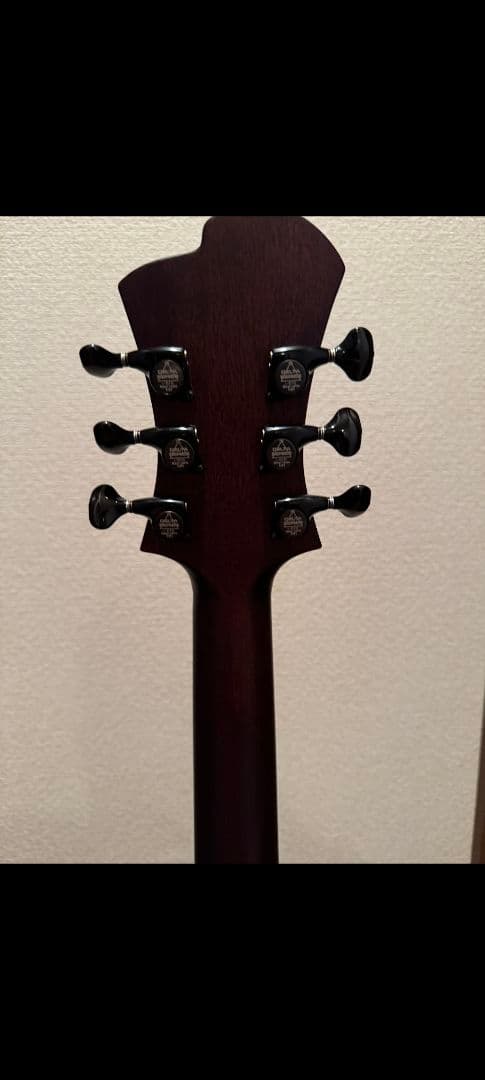 ギター victor baker model 35 semi hollow