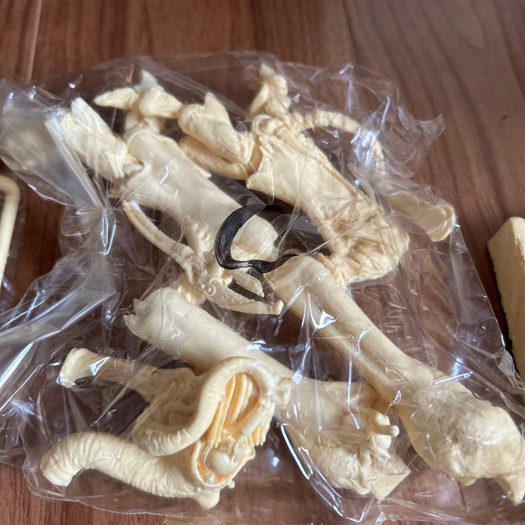 【超絶希少】フューチャーモデルズ 竹谷隆之 ヴァンプ 骨人