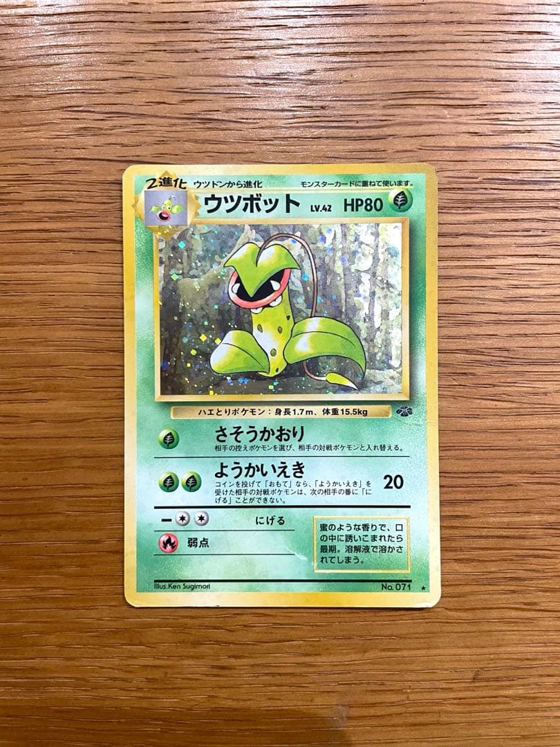 旧裏 ポケモンカード マダツボミ／ウツドン／ウツボット 希少 初期