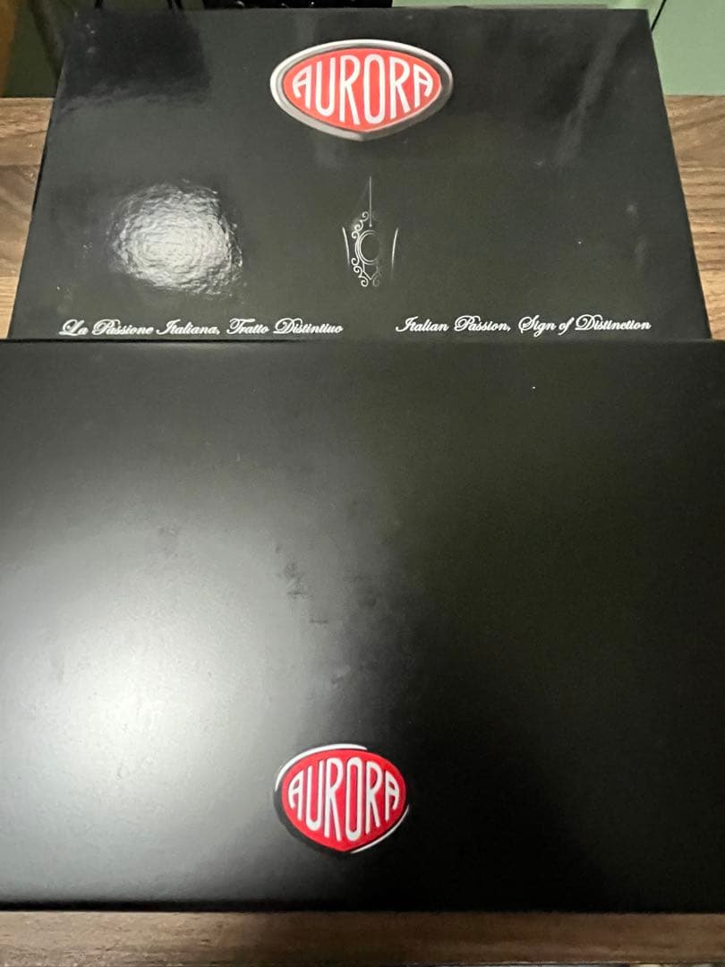 【Kinesis】アウロラ 限定　万年筆 大陸シリーズ アメリカ　EF