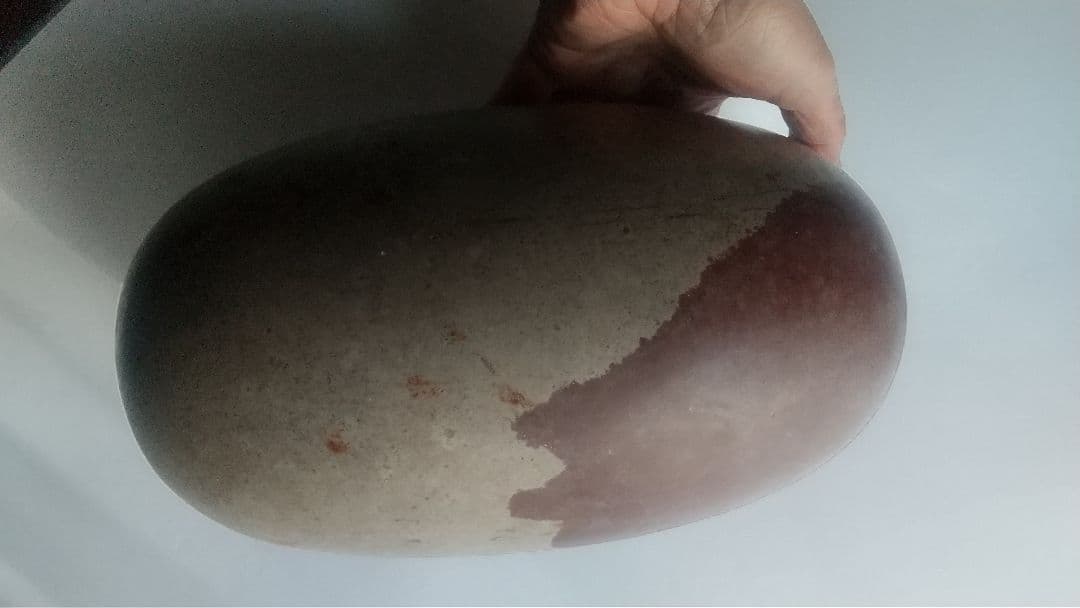 特大 希少価値‼️シバリンガム