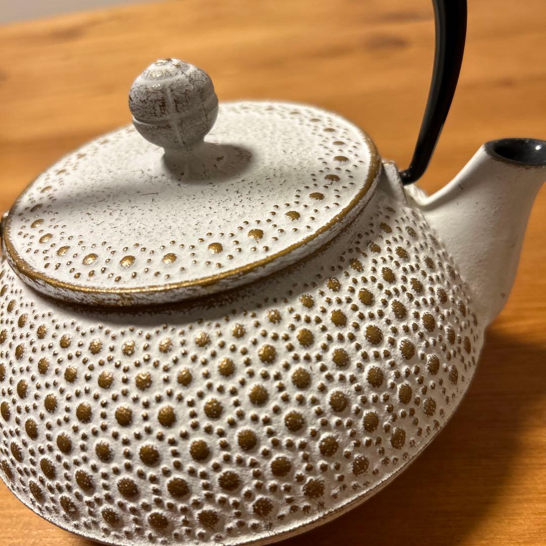 アンシャンテジャポン 南部鉄器 岩鋳 カラーポット急須 No.5 大 南部