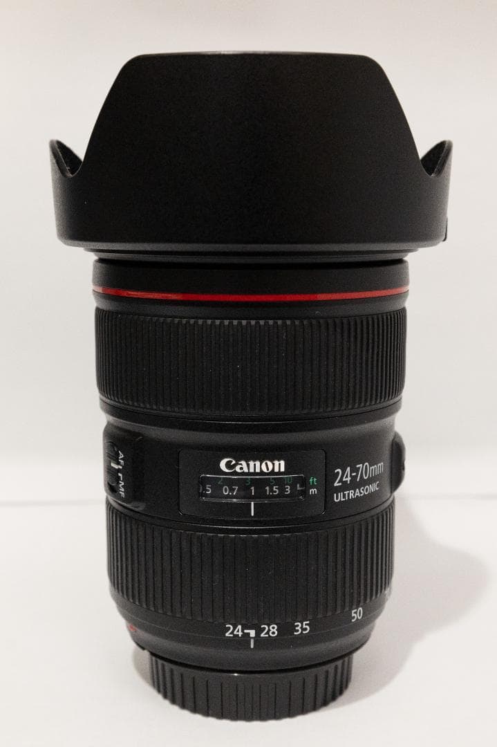 AF Zoom-Nikkor 70-300mm f/4-5.6D ED 撮って出しその1 : でくのぼう