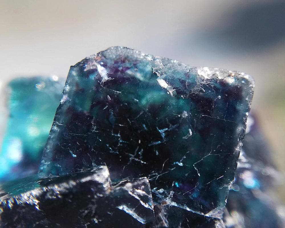 ☆超貴重☆ ケイト・ウィンスレット 直筆サイン入り プライベート実