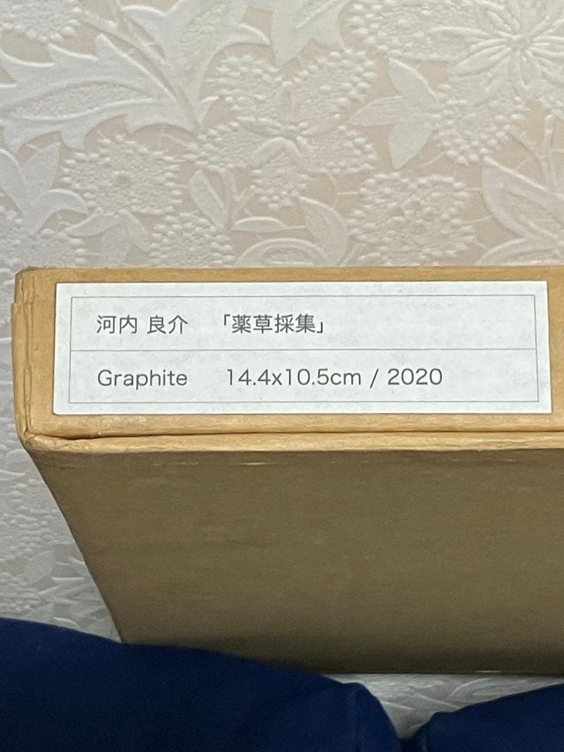 世界に一品 鉛筆画の異才 河内良介作品「薬草採集」 - メルカリ