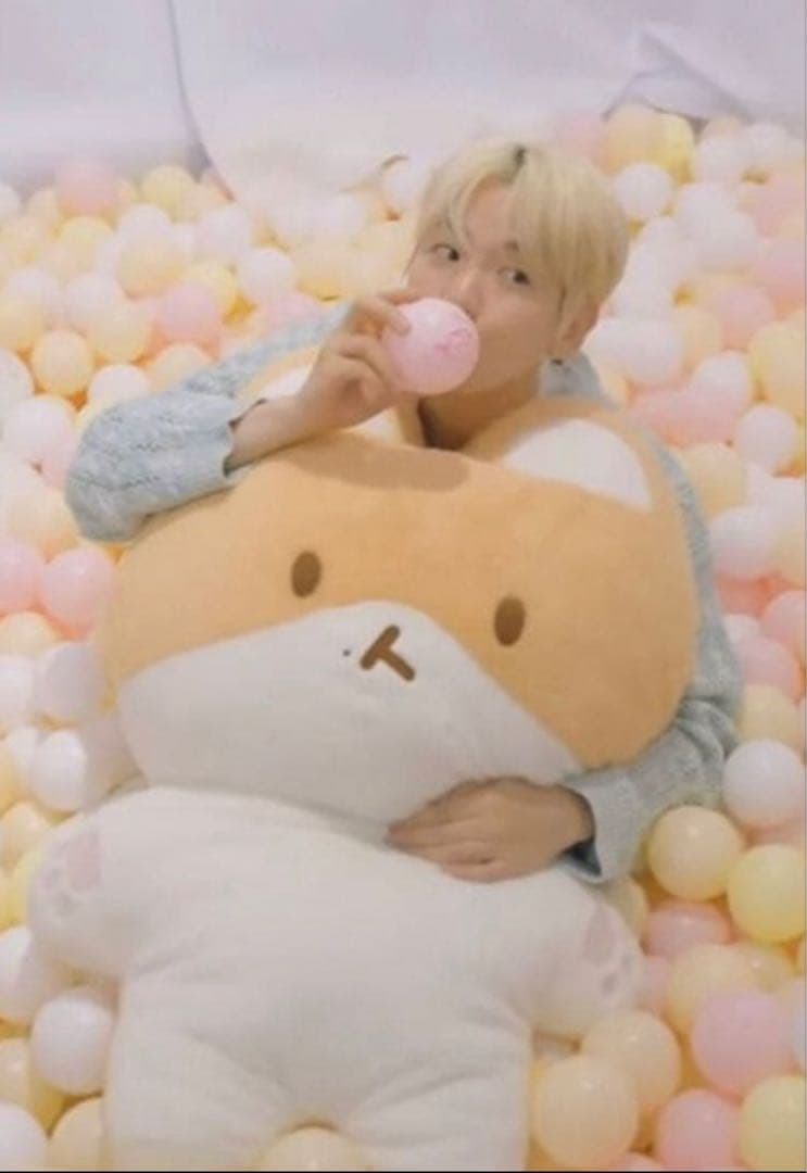 BAEKHYUN ベッキョン 大王トレギ ぬいぐるみ 80cm