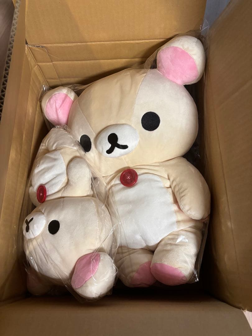 コリラックマ ぬいぐるみ　MとL