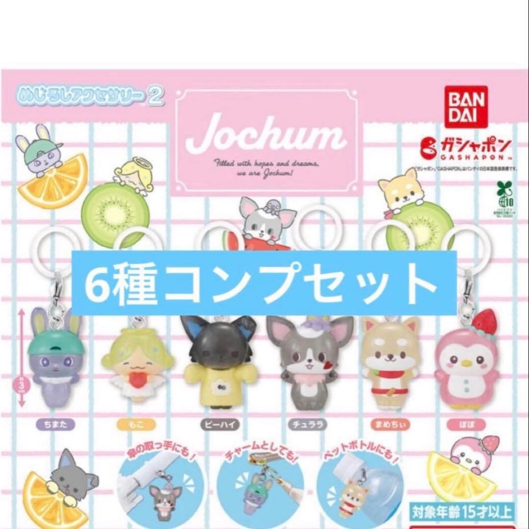 JOCHUM めじるしアクセサリー2 コンプリート - メルカリ