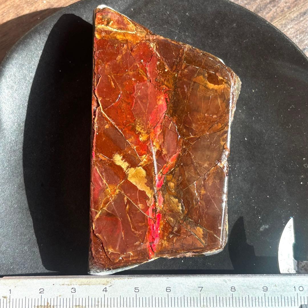 お 得 な 通販 サイトホビー・楽器・アート - 巨大！カナダ産