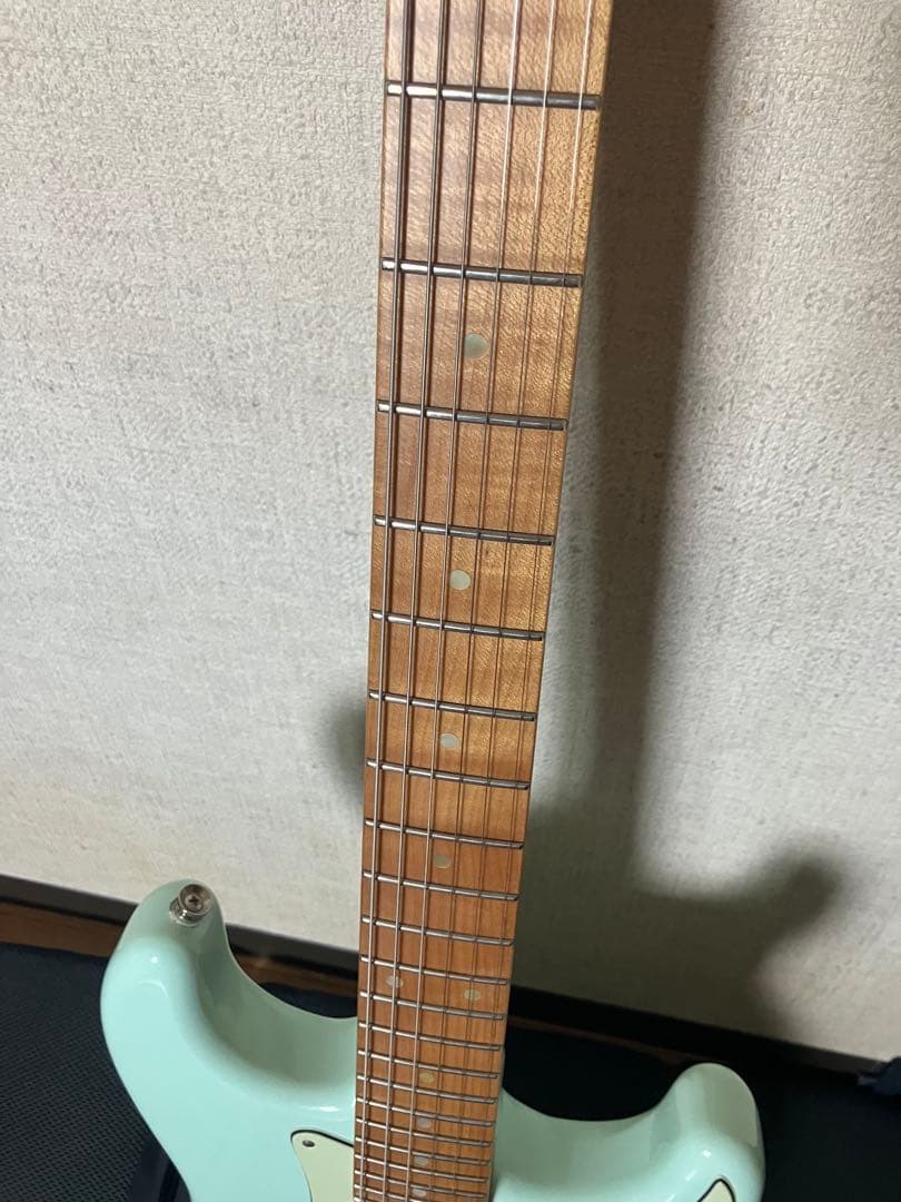 Shijie guitars フジゲン Fender エレキギター SUHR
