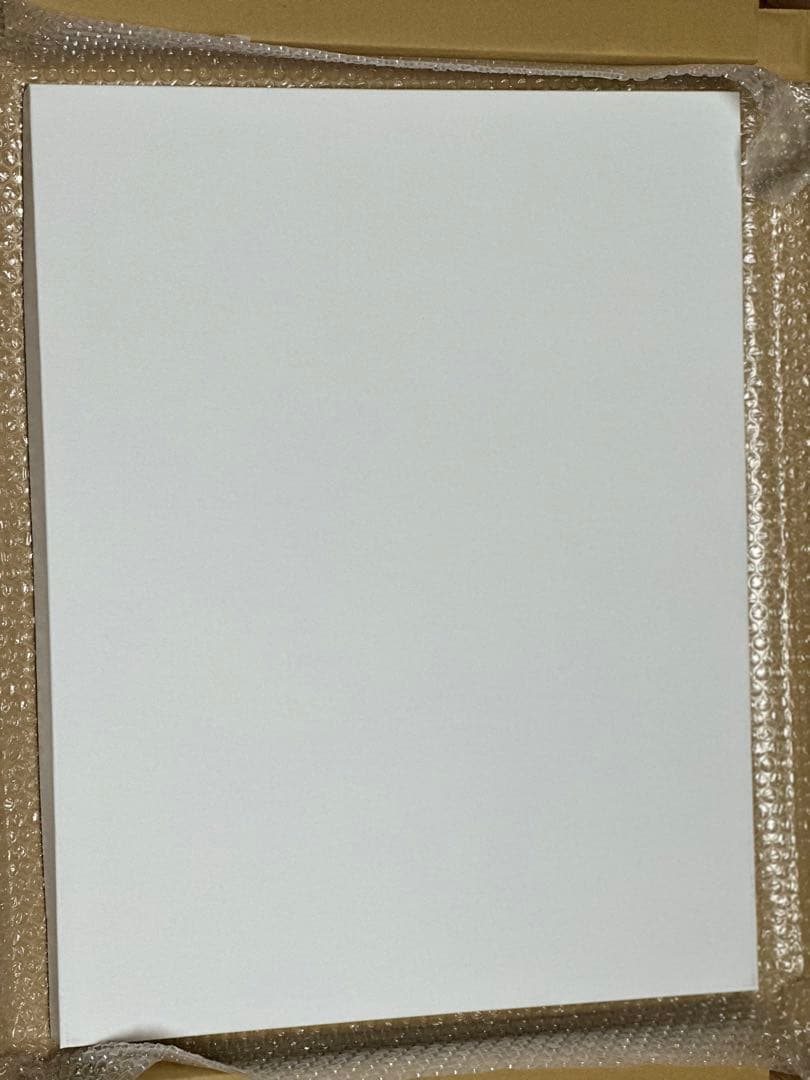 ONE PIECE 複製原画　2010